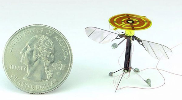 Робот-пчела использует статическое электричество для приземления в любом месте